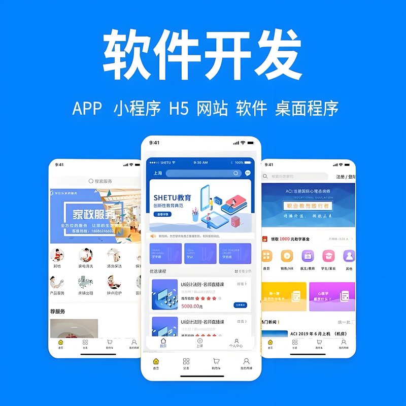 软件定制开发：精准匹配企业需求的艺术